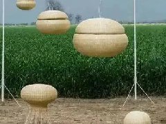 鼓励打造特色鲜明的生态产品区域公用品牌